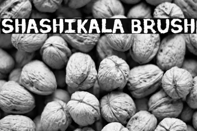 Shashikala Brush Font examples