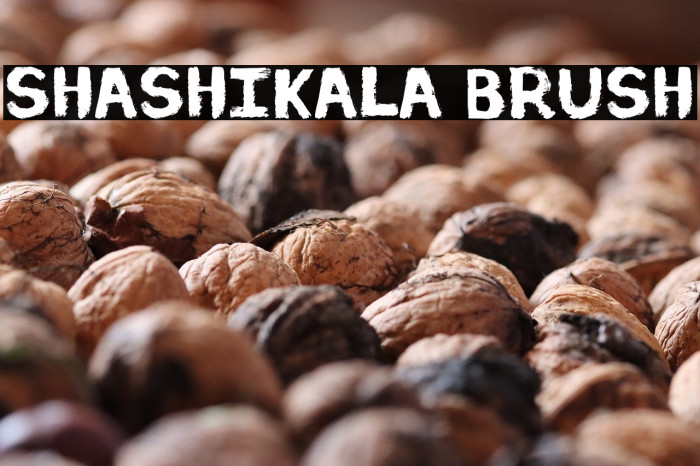 Shashikala Brush Example 3