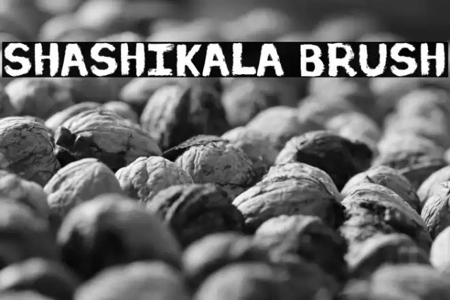 Shashikala Brush Font examples