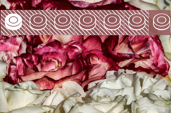 Shashki Font examples