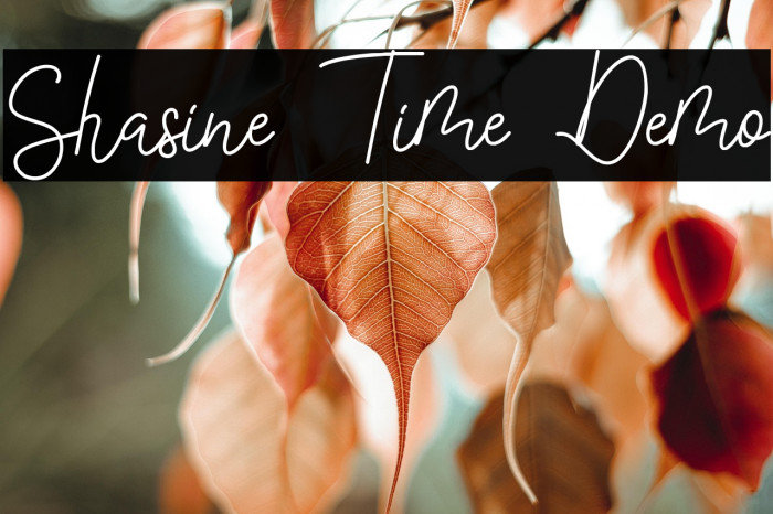 Shasine Time Demo Example 1