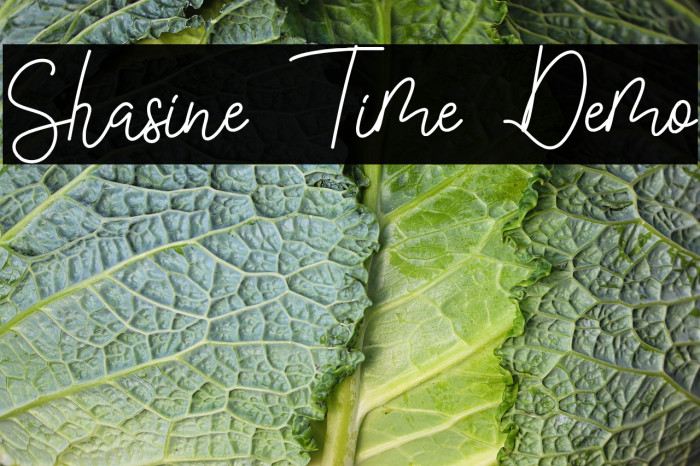 Shasine Time Demo Example 3