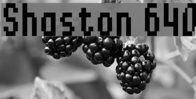 Shaston 640 Font examples