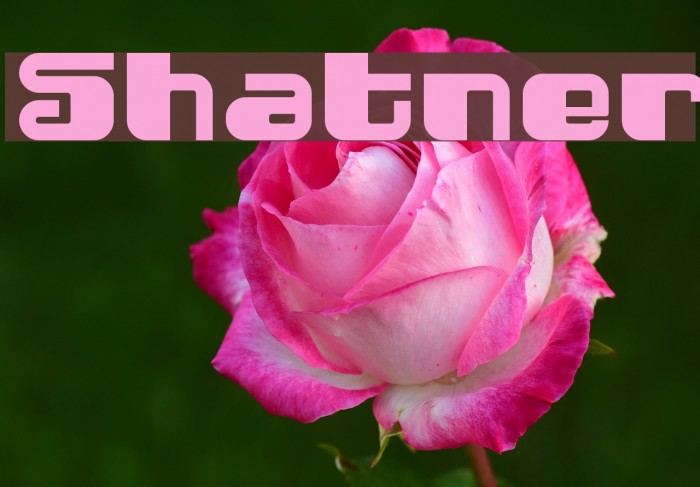 Shatner Font examples