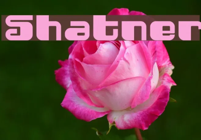 Shatner Example 2