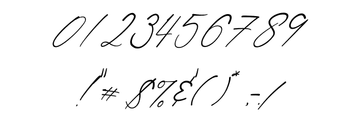 Shatoshi Signature Italic Font OTHER CHARS