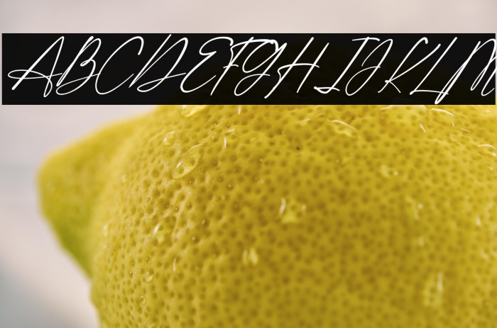 Shatoshi Signature Italic Example 1