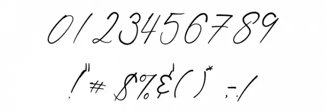 Shatoshi Signature Font OTHER CHARS