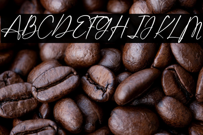 Shatoshi Signature Example 1