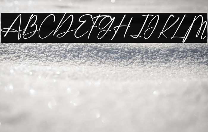 Shatoshi Signature Example 2