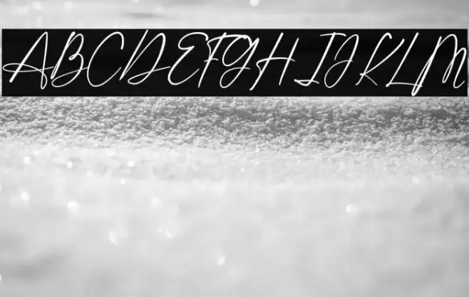 Shatoshi Signature Font examples