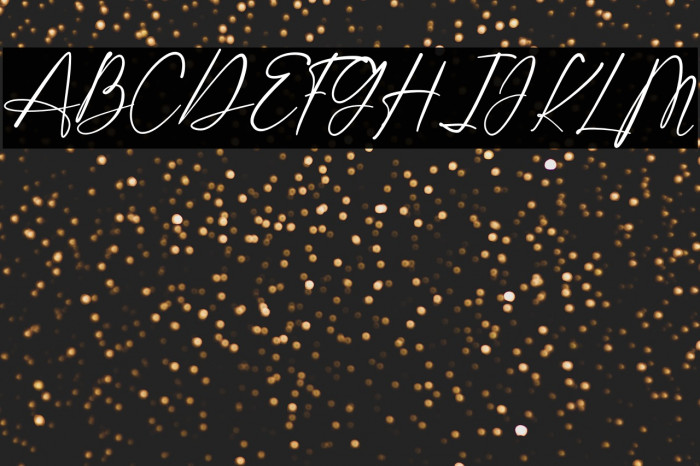 Shatoshi Signature Example 3