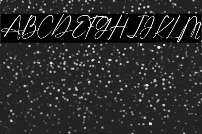 Shatoshi Signature Font examples