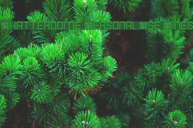 Shatterdome Personal Use Lines Example 1