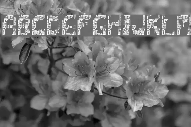 ShatteredSiliconWafers Font examples