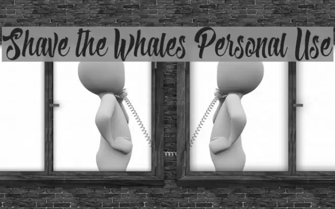 Shave the Whales Personal Use Font examples