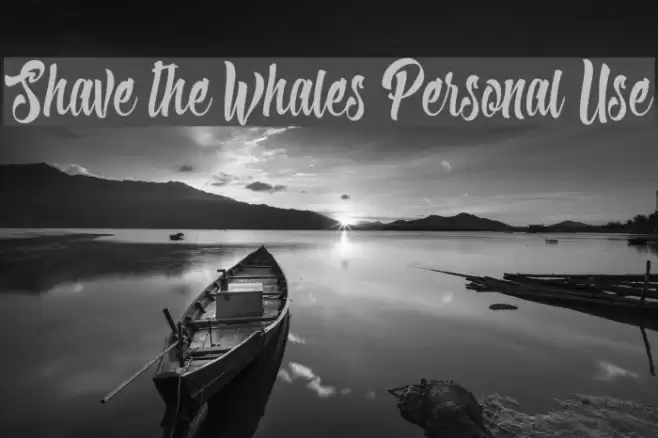 Shave the Whales Personal Use Font examples