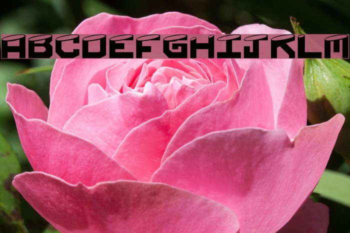 Shaved Font examples
