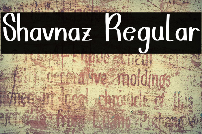 Shavnaz Regular Example 1
