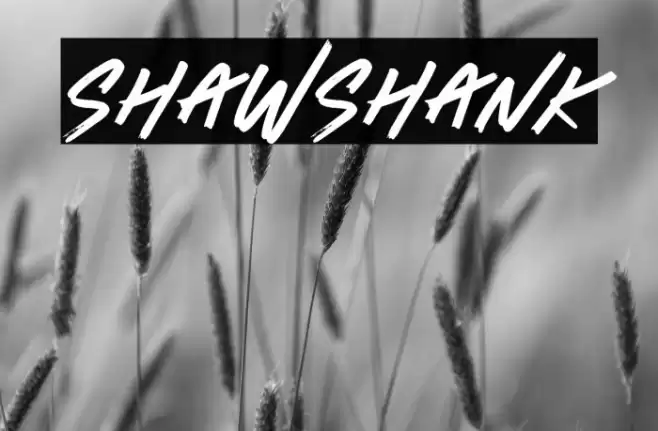 Shawshank Fonte examples