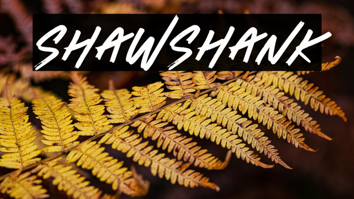 Shawshank Example 2