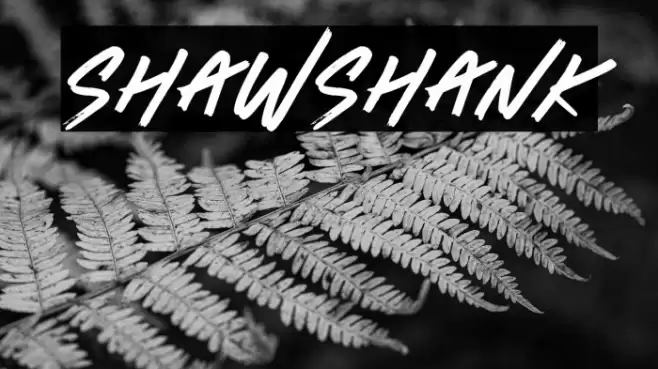 Shawshank Fonte examples