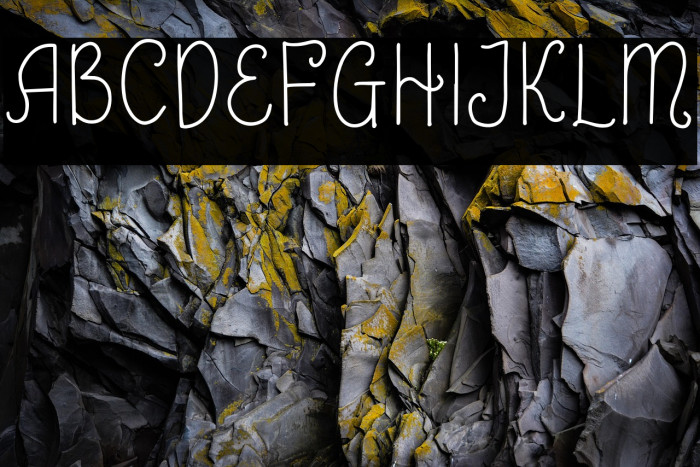 Shayfinton-Regular Example 1