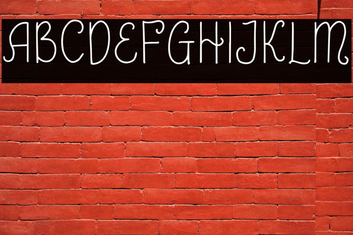 Shayfinton-Regular Example 2