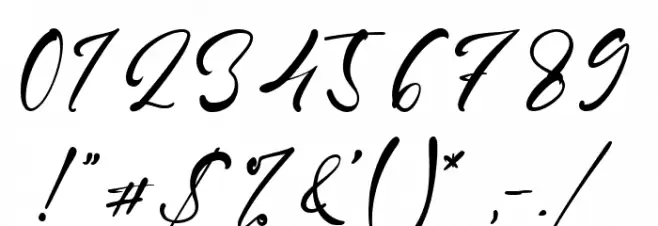 Shayne Font OTHER CHARS