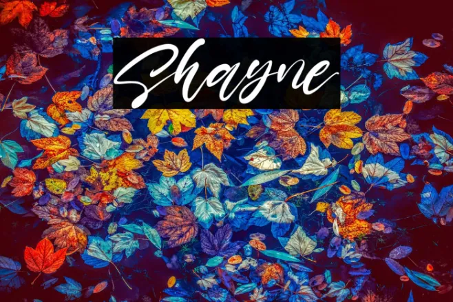 Shayne Example 2