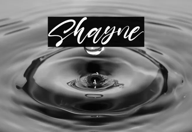 Shayne Example 3
