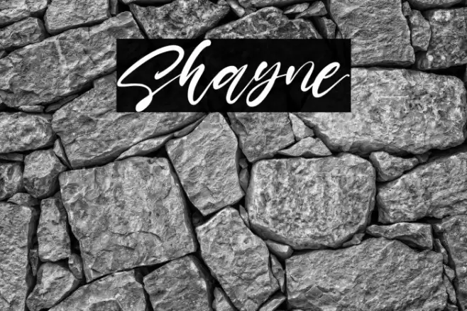 Shayne Font examples