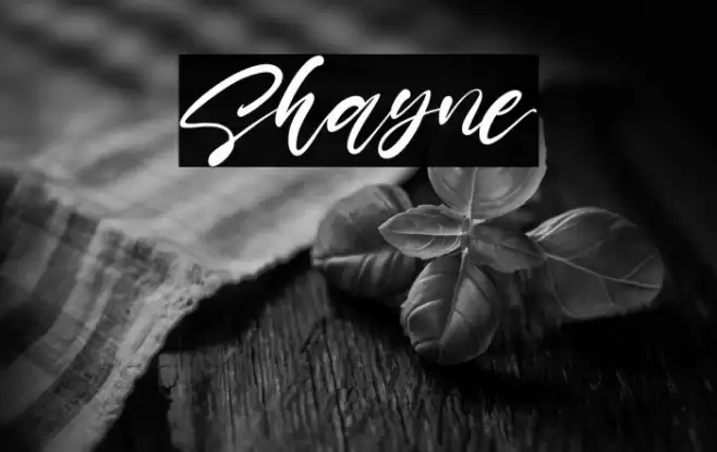 Shayne Font examples