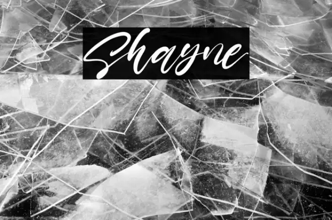 Shayne Font examples