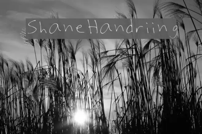 Shaynes_Handwriting Font examples