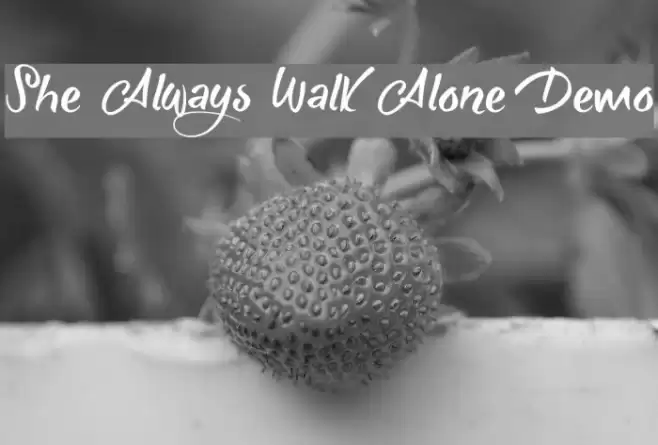She Always Walk Alone Demo Font examples