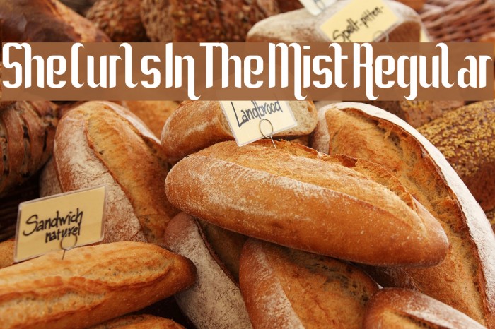 She Curls In The Mist Regular Font examples