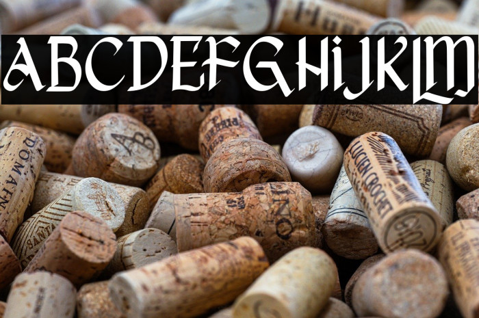 She Dance Free Trial Example 1