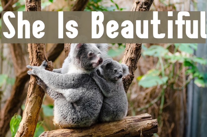 She Is Beautiful Font examples