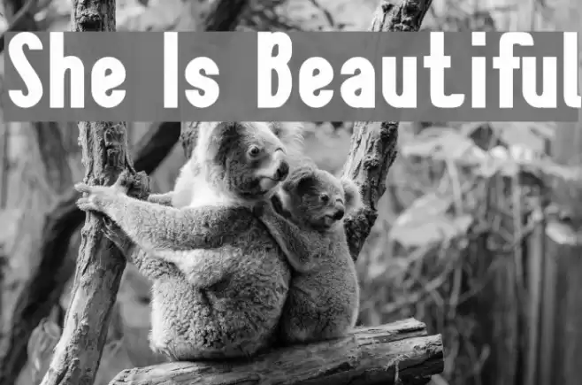 She Is Beautiful Schriftart examples