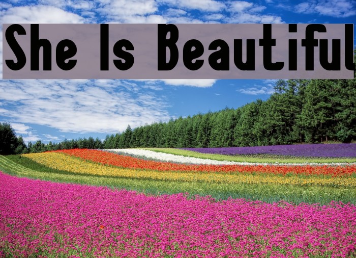 She Is Beautiful Font examples
