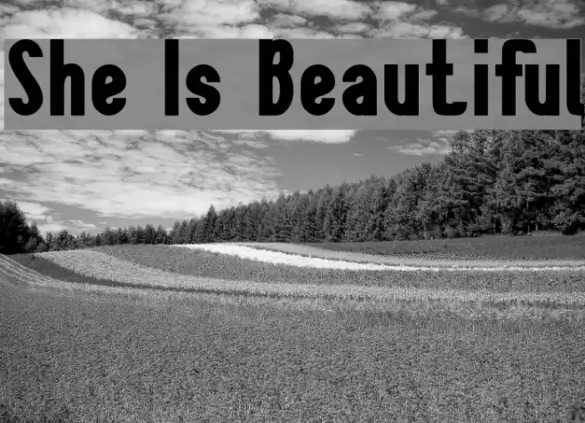 She Is Beautiful Schriftart examples