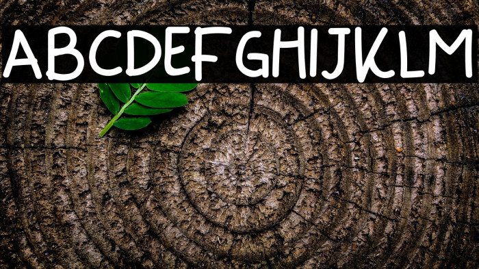 She Is Gone Example 3