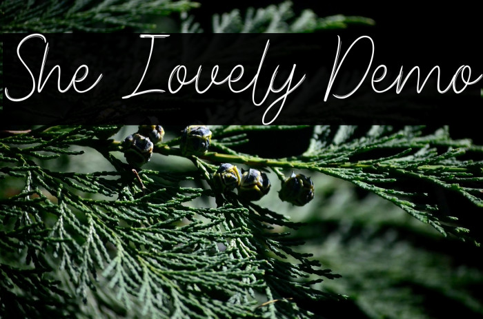 She Lovely Demo Example 3