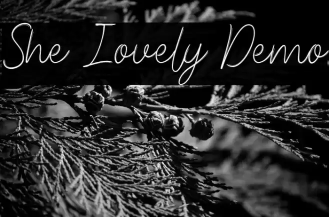 She Lovely Demo फ़ॉन्ट examples