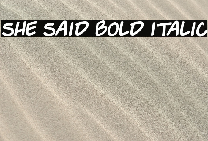 She Said Bold Italic Example 1