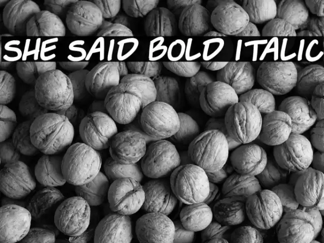 She Said Bold Italic Font examples