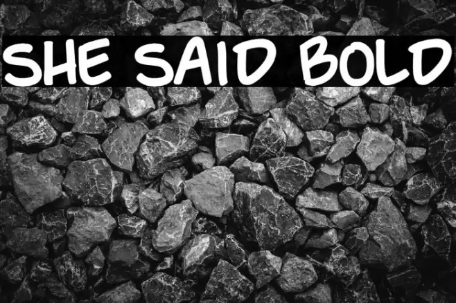 She Said Bold Polices examples
