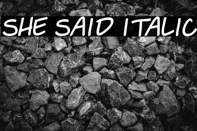 She Said Italic Fonte examples