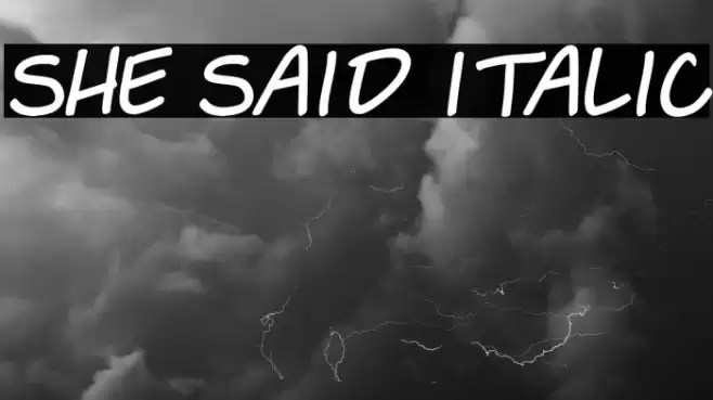 She Said Italic Fonte examples